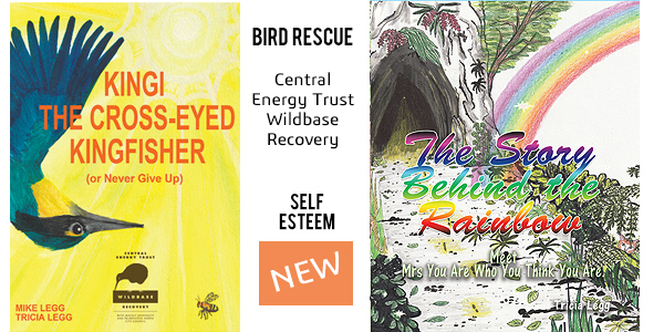 the covers of two books used for charity fund raising